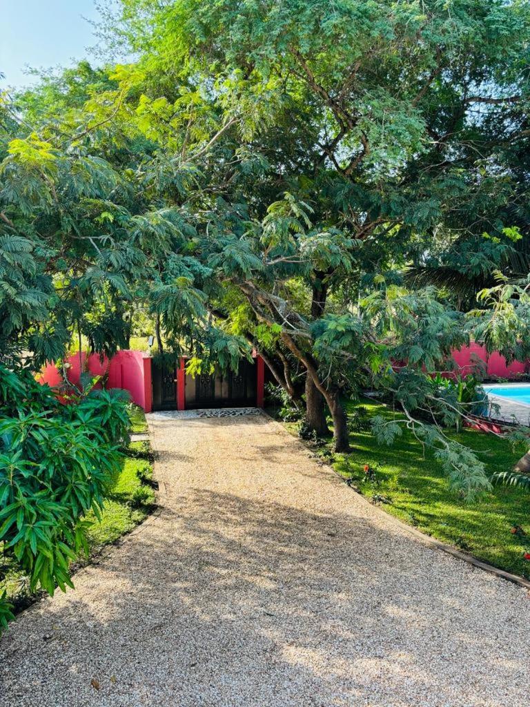 Sanyang Heda House Bed & Breakfast エクステリア 写真